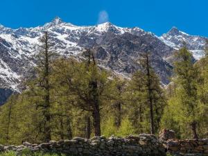 a mountain range with trees and a stone wall in front at Apartment Amici 20 by Interhome in Saas-Fee