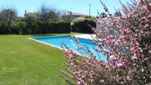 a swimming pool in a yard with pink flowers at Casa Landim in Landim
