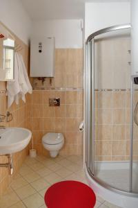 a bathroom with a shower and a toilet and a sink at Apartmány KLÍNOVEC - Apartment KEILBERG in Loučná pod Klínovcem