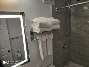 a bathroom with a shower with towels and a mirror at Parkway Motel & European Lodges in Pincher Creek