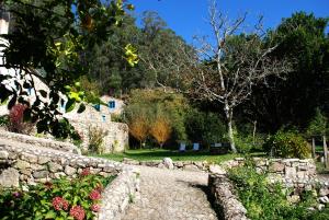 Príroda v okolí of the country house