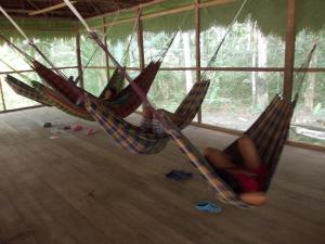 Photo de la galerie de l'établissement CABAÑA Amazon LODGE, à Iquitos