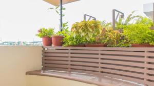 Balkón nebo terasa v ubytování Hotel Ciudad Latin Palace