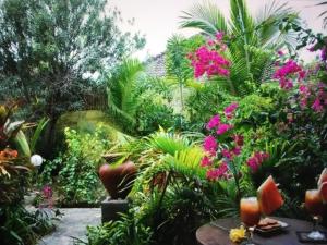 吉利宁静日旅馆外面的花园