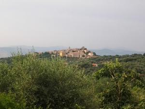 Gallery image of Agriturismo Norianino in Montemerano