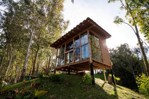 a tree house on a hill in the woods at Bacoa Hostel in Guatapé