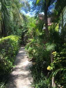 吉利特拉旺安的住宿－吉利寧靜日旅館，一条穿过种有棕榈树和植物的花园的小路