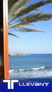 una ventana con vistas al océano y una palmera en Apartamentos Llevant, en Ibiza