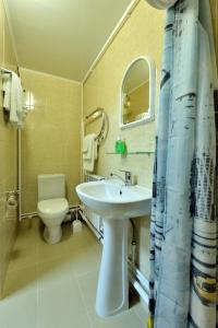 a bathroom with a sink and a toilet at Mini-Hotel Pushkin in Blagoveshchensk