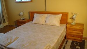 Postel nebo postele na pokoji v ubytování Apartment SOFIA Center