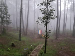 Κήπος έξω από το Cabaña rustica a 1km de cascada