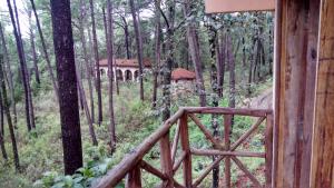 Φωτογραφία από το άλμπουμ του Cabaña rustica a 1km de cascada σε Mazamitla