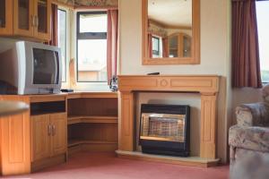 a living room with a fireplace and a tv at Pušynėlis in Miežonys