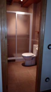 een badkamer met een toilet en een douche bij La Forna del Coto in Coto de Buenamadre