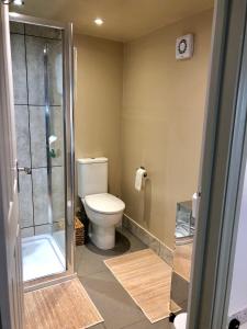 a bathroom with a toilet and a shower at Kwetu Cabin in Bordon +16 photos