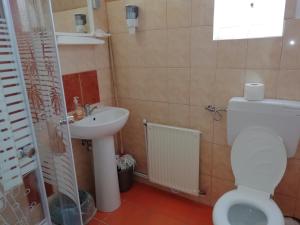 Gallery image of Casa Julia/Adult Only in Sovata