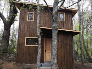 una casa en el árbol construida entre dos árboles en Loft Canelo - con hot tub exclusivo, cercano a termas y lago, en Coñaripe