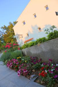 Zahrada ubytování Apartments - Villa Sidro