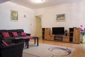 sala de estar con sofá y TV en GLORIOUS - 2-Bedroom apartment near Youth Hill, en Plovdiv