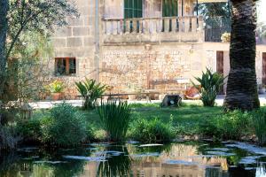 A garden outside Petit Hotel Es Figueral