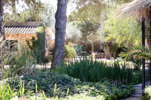 A garden outside Petit Hotel Es Figueral