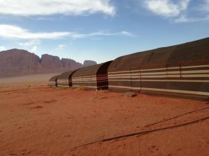 a train in the middle of the desert at Wadi Rum Excursions in Wadi Rum