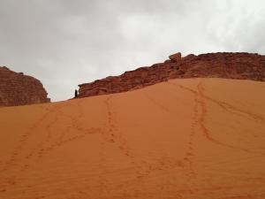 a mound of sand in the desert at Wadi Rum Excursions in Wadi Rum
