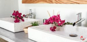 Mynd úr myndasafni af Villa Fleur d'O í Le Robert