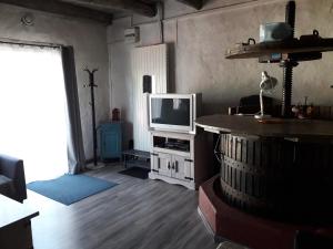 a living room with a tv sitting on a table at Le Pressoir in Saint-Julien-de-Coppel