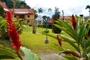un jardín con flores rojas frente a una casa en Hotel Girassol en Penedo