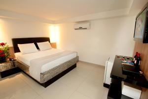 a hotel room with a bed and a television at Raru's Motel Ponta Negra (Adult Only) in Natal
