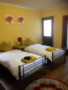 two beds in a room with yellow walls at Heddfan in Carmarthen