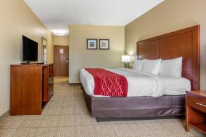 TV a/nebo společenská místnost v ubytování Comfort Inn & Suites