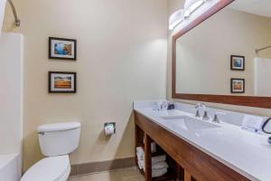 Koupelna v ubytování Comfort Inn & Suites
