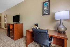 TV a/nebo společenská místnost v ubytování Comfort Inn & Suites