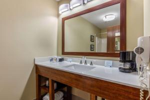 Fotografie z fotogalerie ubytování Comfort Inn & Suites v destinaci McComb