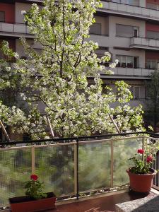 ein Zaun mit zwei Topfpflanzen vor einem Gebäude in der Unterkunft La casa di Chiara in Rom