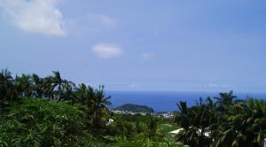 a view of the ocean from a hill with palm trees at Les Vanilliers Location BUNGALOWS in Saint-Joseph