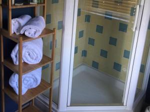 Baño con toallas en estanterías junto a una ducha en The Lamb Inn en Eastbourne