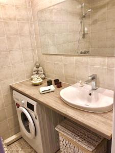 ein Badezimmer mit einem Waschbecken und einer Waschmaschine in der Unterkunft Wind Rose apartment in Kuressaare