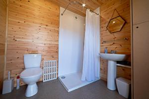 a bathroom with a toilet and a sink at Howe of Torbeg in Ballater