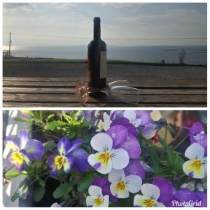 Ảnh trong thư viện ảnh của Our View ở Doolin