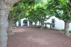 uma fileira de árvores em frente a um prédio em Convento de São Francisco em Vila Franca do Campo