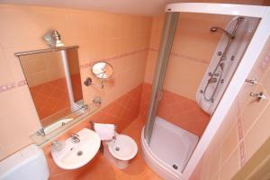 een badkamer met een wastafel, een toilet en een douche bij Apartments IVONA 6 in Novi Vinodolski