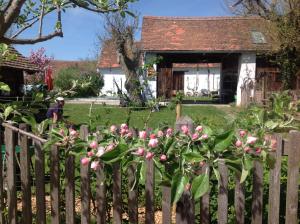 Zahrada ubytování Bed & Breakfast Chez Lips