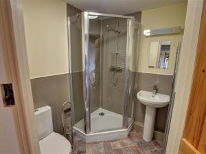 a bathroom with a shower and a toilet and a sink at Holiday Home Corlan by Interhome in Llandinam