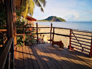 a cat walking on a wooden deck near the beach at CHEZ ALEX in Nosy Be