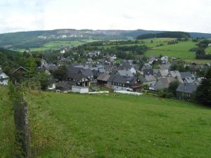 a village with a green field and houses on a hill at Trekkershut Isidorus in Winterberg