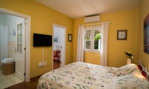 a bedroom with a bed and a window and a television at Estudio rural - Nature & Relax in La Orotava