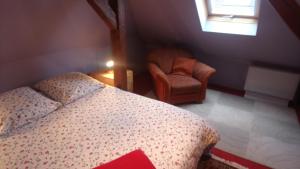 een slaapkamer met een bed, een stoel en een raam bij BEL APPARTEMENT LUMINEUX in Colmar
